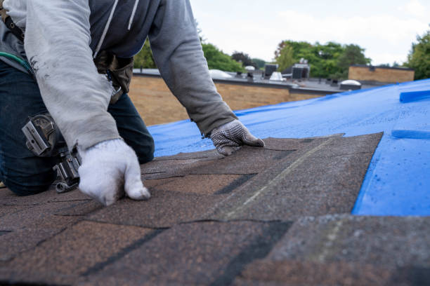 Best Residential Roofing Contractor  in New Castle Northwest, PA